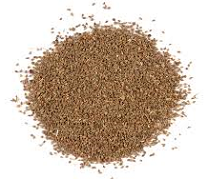 Celery Seed