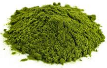 Chlorella