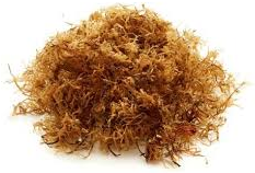 Irish Moss