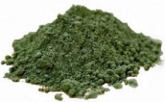 Kelp Powder