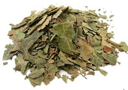 Neem Leaf