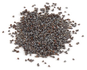 Poppy Seed