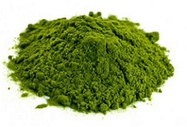 Wheatgrass Powder