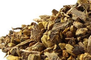 Yellow Dock Root