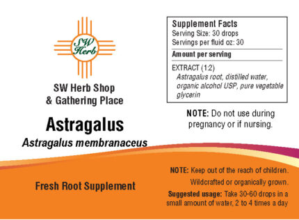 Astragalus