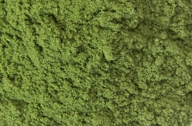 Green Powder