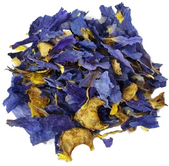 Image of dried blue lotus flower