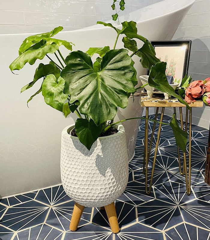 Mica Douro Pot - Image 3