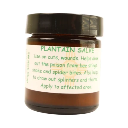 Plantain Salve